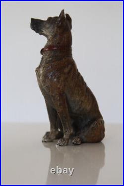 Ancien Grand Bronze de Vienne Dogue allemand fin XIX ème siècle hauteur 15 cm