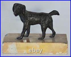 Ancien Presse-Papier en Bronze, Chien d'arrêt Épagneul sur Marbre XIXe siècle
