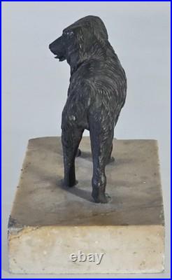 Ancien Presse-Papier en Bronze, Chien d'arrêt Épagneul sur Marbre XIXe siècle