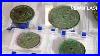 Ancient-Face-Mirrors-Made-Of-Bronze-Are-2-000-Years-Old-01-cgcx