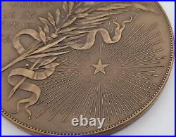Antique 1884 Médaille insigne décoration plaque bronze Victor Hugo Alfred Borrel