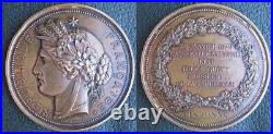 Assemblée Nationale 1879 Coffret de 2 médailles en bronze au Député de l'Hérault