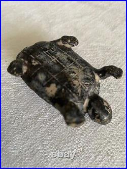 CHINE, XVIII-XIXe siècle. Tortue Presse Papier en bronze Chinese bronz turtle