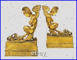 Faunes ailées formant chenets en bronze ciselé trace de dorure. XIX siècle