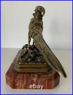 Le faisan doré, Sujet en bronze animalier, Bronze de la fin du XIX ème siècle