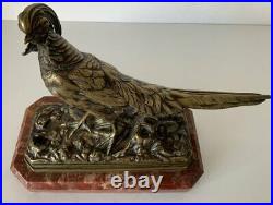 Le faisan doré, Sujet en bronze animalier, Bronze de la fin du XIX ème siècle