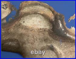 Masque chinois ancien en bronze doré Démon gardien XIXe / début XXe siècle