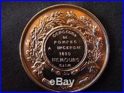 Médaille par Dubois bronze Dévouement courage concours incendie 1890 Nemours