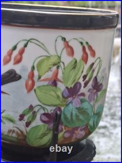 Paire Cache Pots Porcelaine Peinte XIX ème siècle Oiseaux Bois Bronze