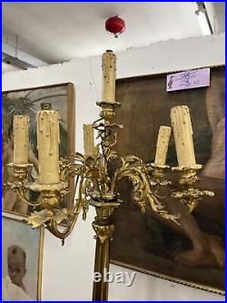 Paire De Chandelier En Bronze XIX Siècle