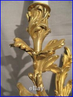 Paire d'appliques de style Louis XV en bronze doré époque XIX ème siècle
