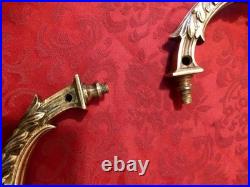 Paire d'appliques murales en bronze doré à décor de feuilles XIX Siècle