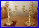 Paire-de-candelabres-Louis-XV-XIX-siecle-01-tx