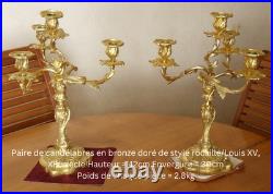 Paire de candélabres en bronze doré XIX siècle