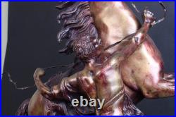 Paire de modèles français en bronze XIXe siècle les chevaux de Marly par