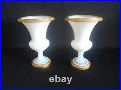 Paire de vases Charles X en opaline et bronze doré forme Médicis XIX siècle