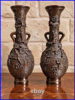 Paire de vases asiatiques en bronze à décor en relief XIXe siècle