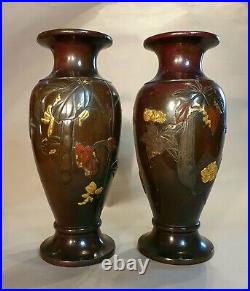 Paire de vases en bronze Japon XIXe siècle