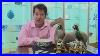 The-Saleroom-Presents-Buying-Asian-Art-And-Antiques-With-John-Axford-01-ite